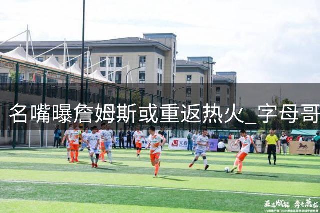 名嘴曝詹姆斯或重返热火 字母哥联手斯波成关键诱因